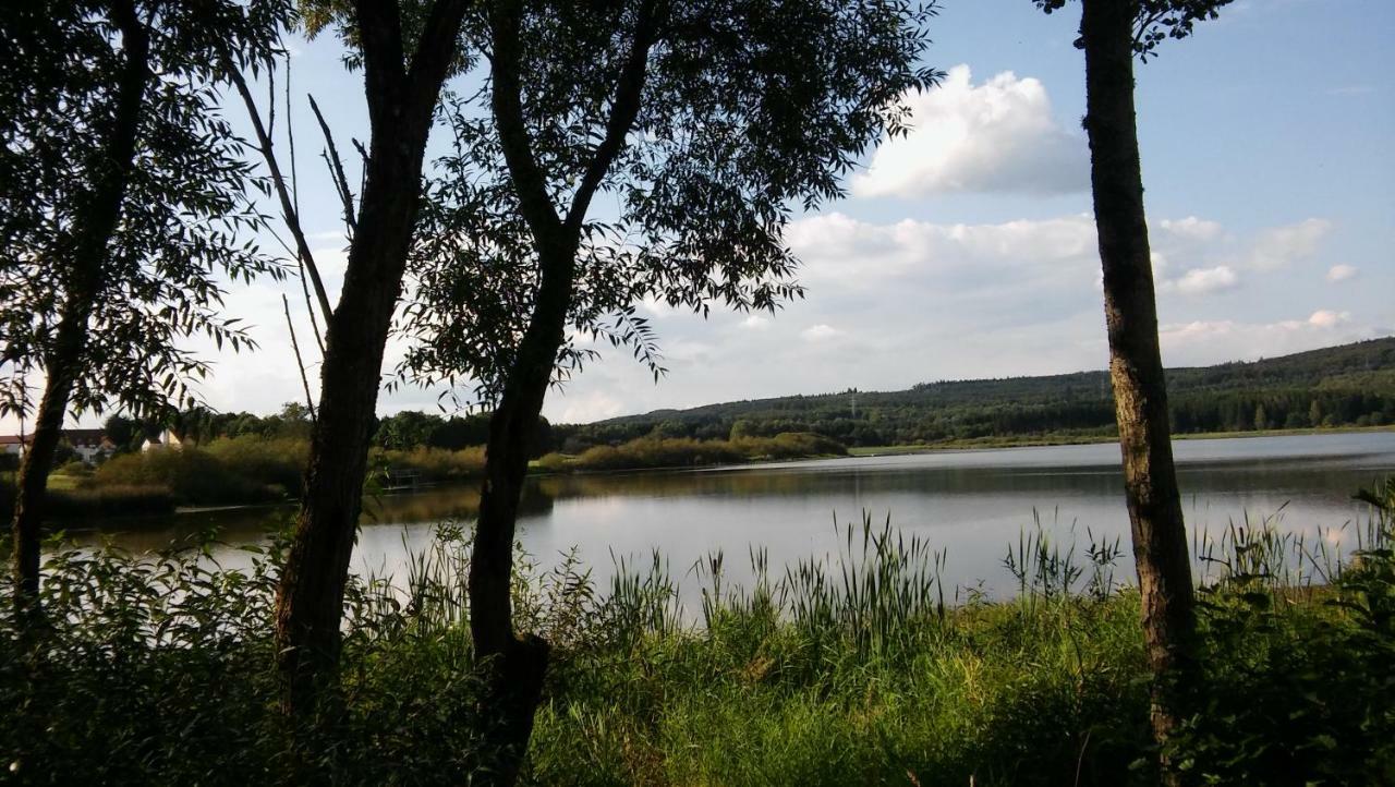 Ferienwohnung In Der Vulkaneifel Ulmen Zewnętrze zdjęcie
